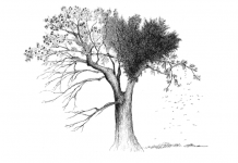 HERANÇA | Tempo: o derradeiro luxo